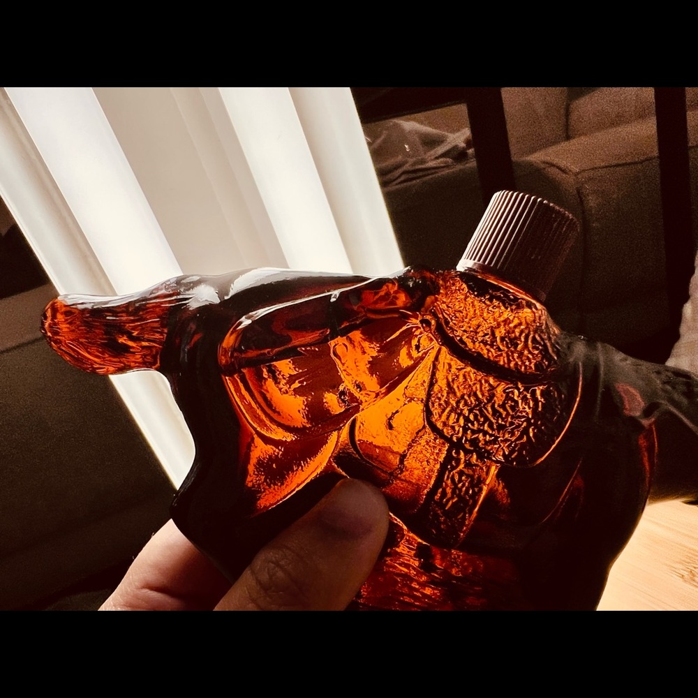 Avon Pony Rider - Picture 6 of 13